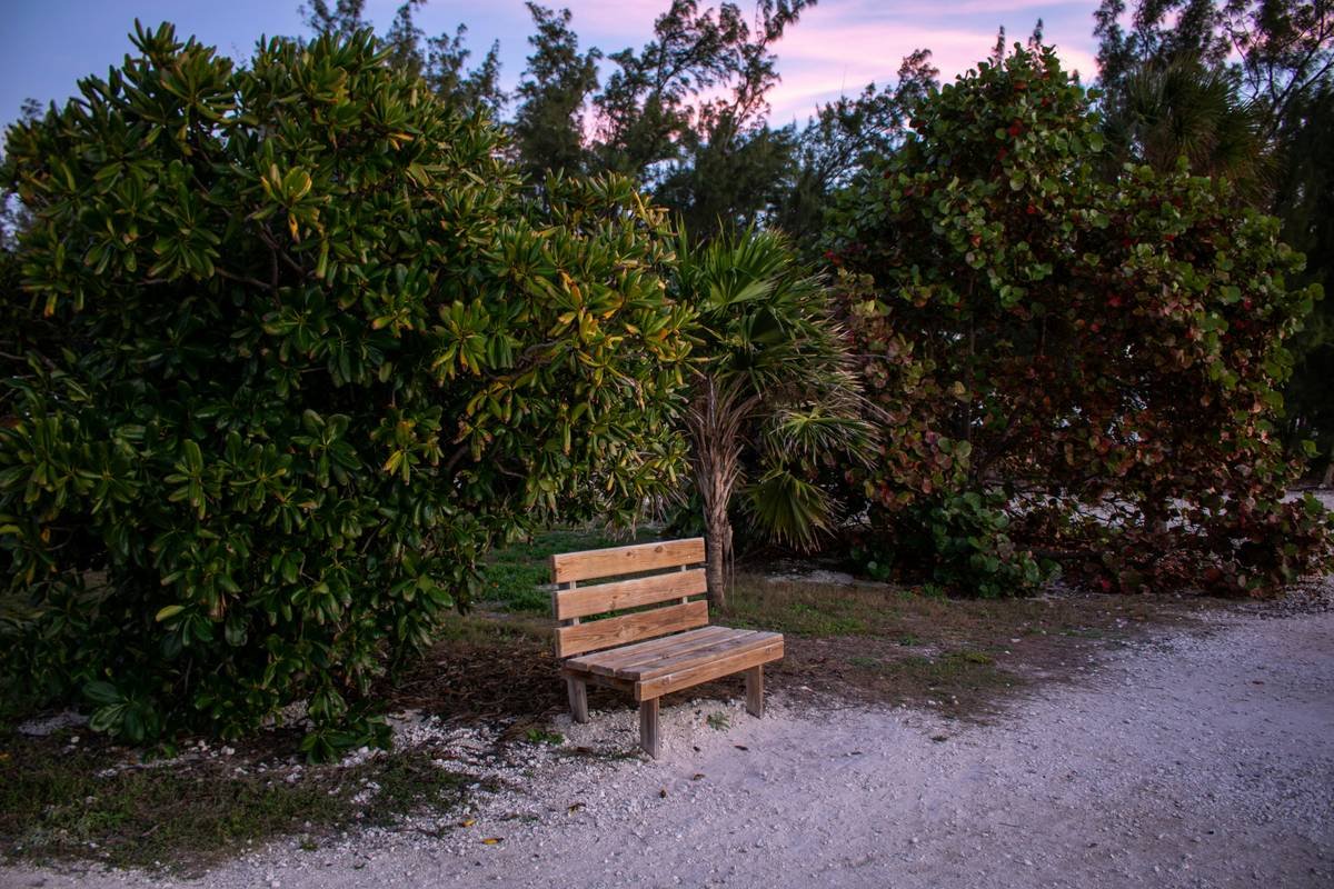 11 Genius Ways to Build Home Made Benches for Outdoors That Last (and Look Damn Good)