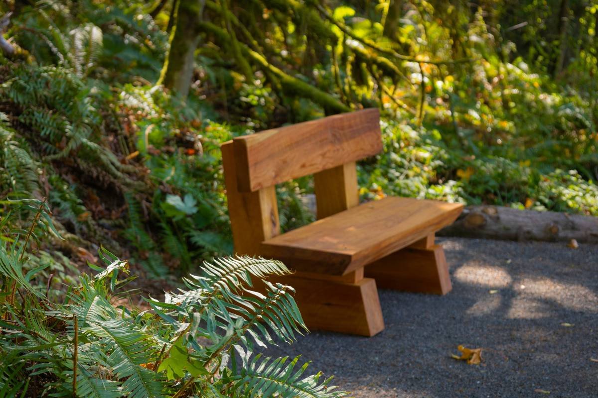 Comparison chart showing cedar, redwood, pressure-treated pine, and tropical hardwoods rated for outdoor bench durability, rot resistance, and cost