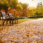 seating benche how to bench test: The Unfiltered Truth About Durability & Comfort