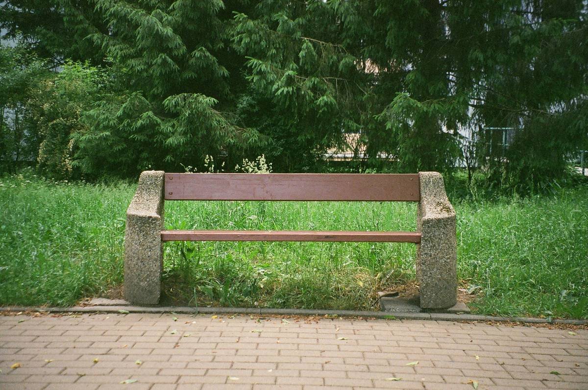 Vintage-style cast aluminum garden benches outdoor positioned beside a lavender garden with morning dew