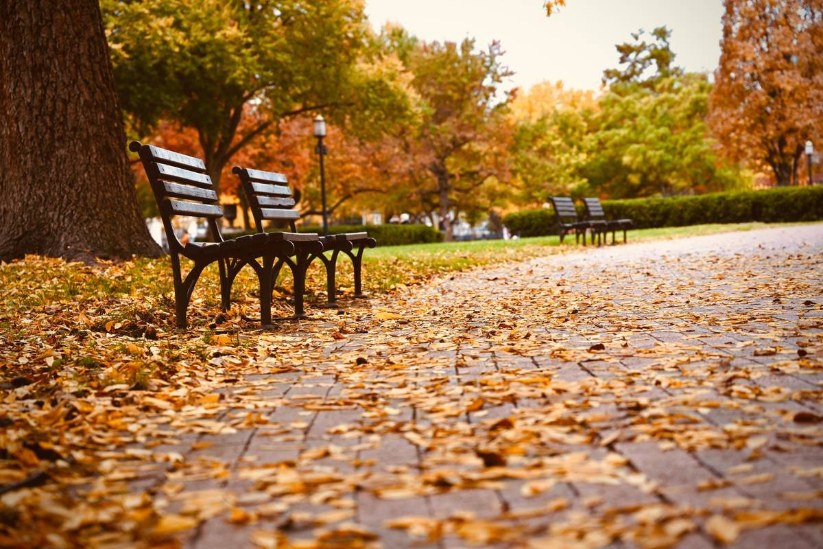 seating benche what is bench at